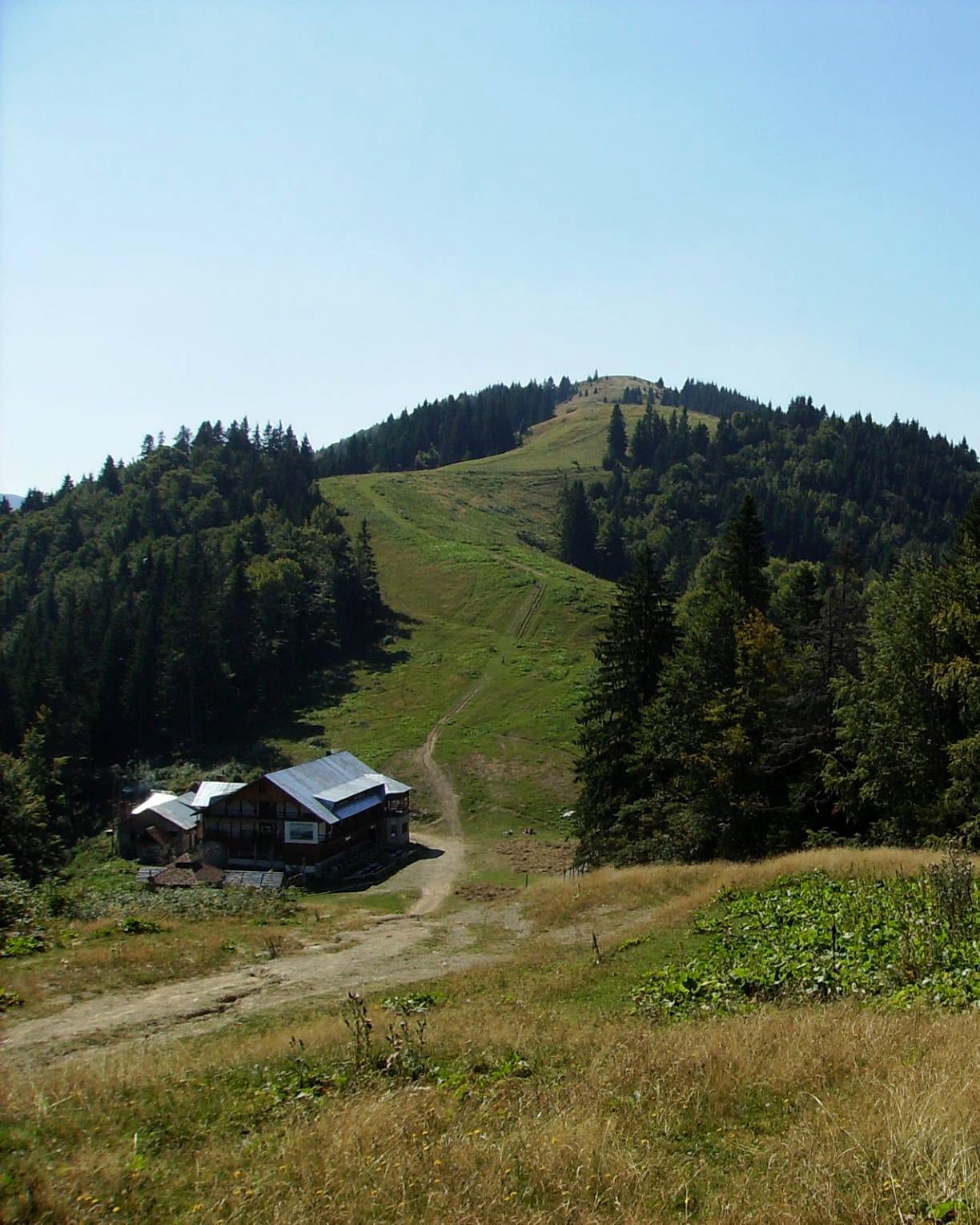 Cabana vara, văzută de pe drumul de pământ, cu pârtia verde urcând spre creastă.